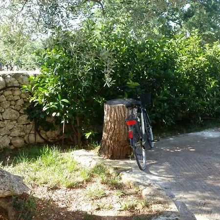 Trullo Oasi Maria Semesterbostad San Vito dei Normanni