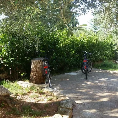 Trullo Oasi Maria Holiday home San Vito dei Normanni